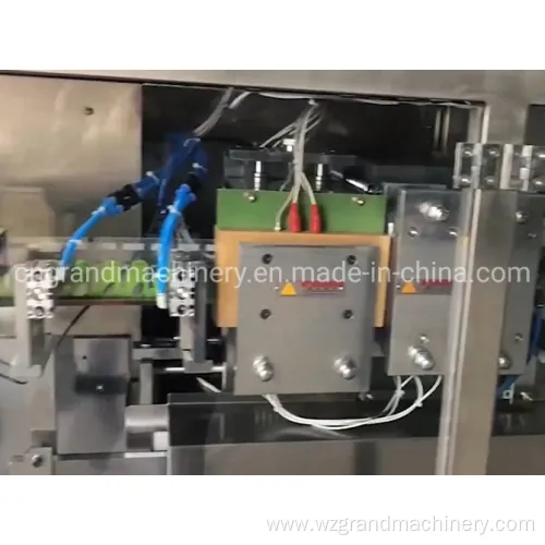 Head Plastic Ampoule Filling Sealing Machine